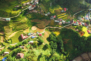 Rice terraces in Sapa, Vietnam