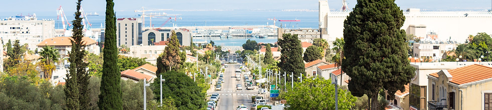 City Street View