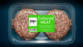 Cultured Meat in Australia: Is It Safe, Sustainable, and for Everyone? | Brilliant Online Digital PR Australia Singapore UK Europe