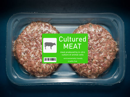 Cultured Meat in Australia: Is It Safe, Sustainable, and for Everyone? | Brilliant Online Digital PR Australia Singapore UK Europe