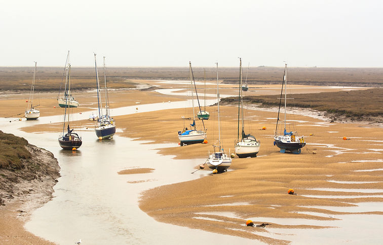 Bateaux de pêche