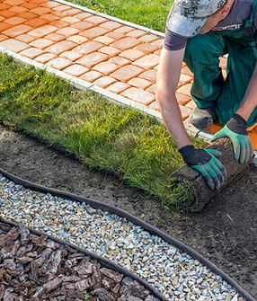 Colocación de césped nuevo