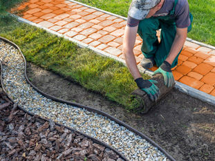 Artificial vs. Natural Grass: A Green Dilemma