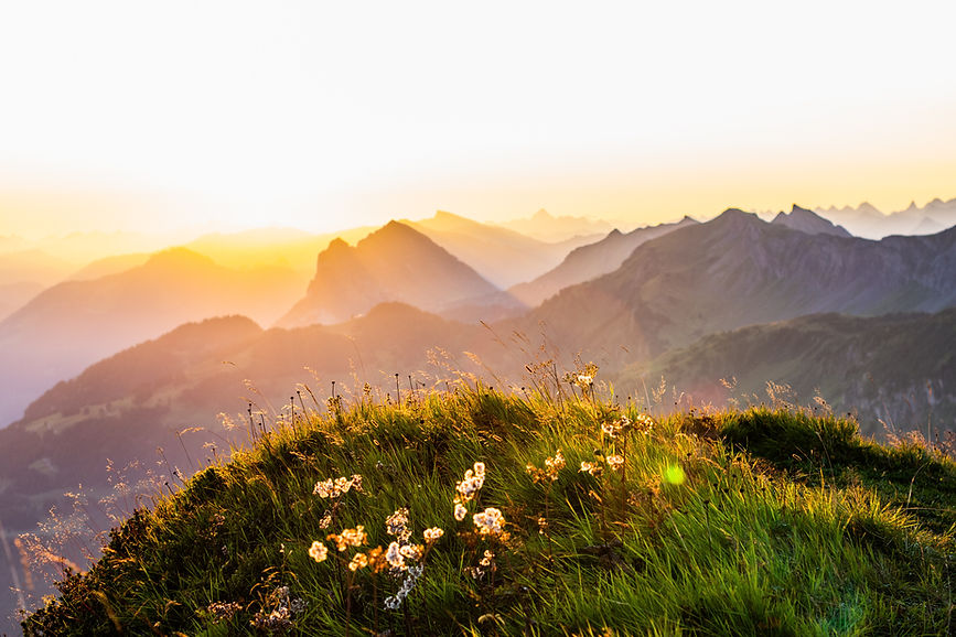 Almwiese, Wix, Berge, Sonnenuntergang, die Schönheit der Natur