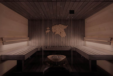 wood sauna and treated timber