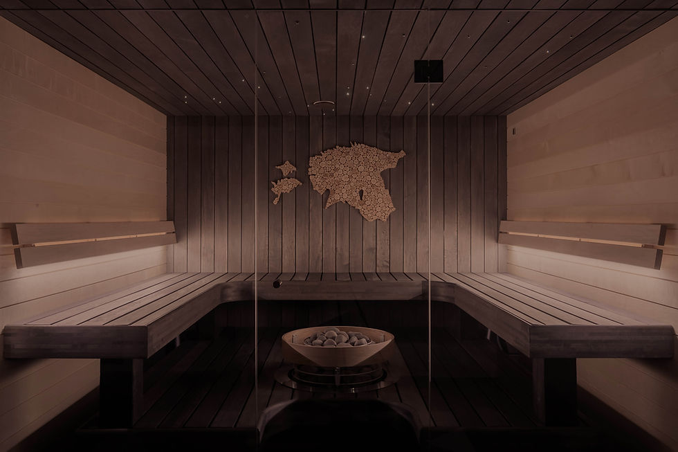 Modern wooden sauna interior