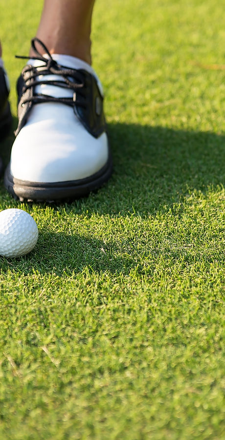 golfers legs with putter and ball at address.