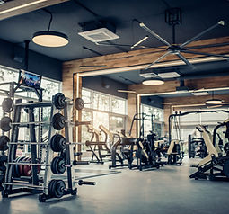 Gym Equipment