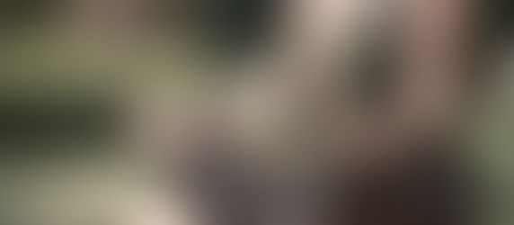 Hvorfor velge MediYoga?