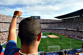 Cheering Fan at the Stadium