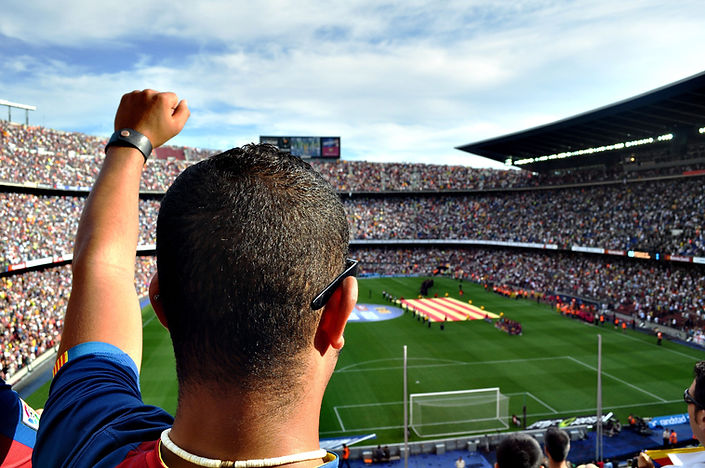 Cheering Fan at the Stadium