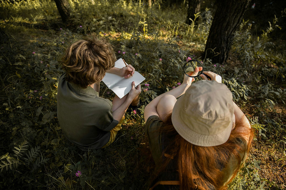 Outdoor Nature Study