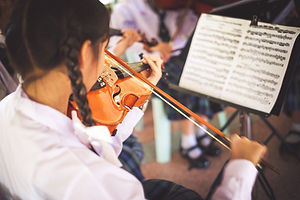 Play the violin