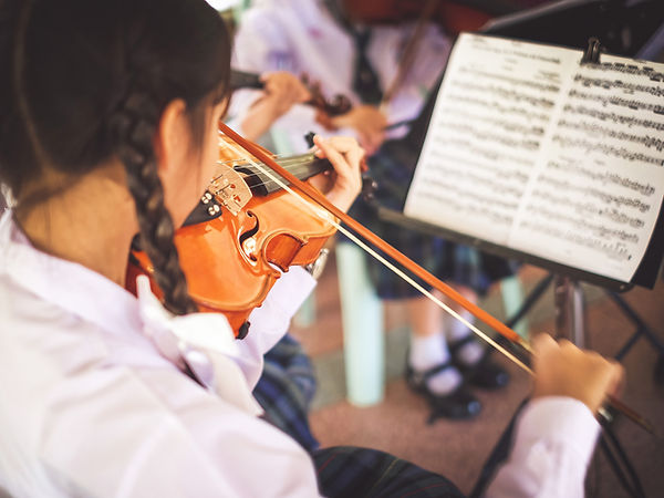Play the violin