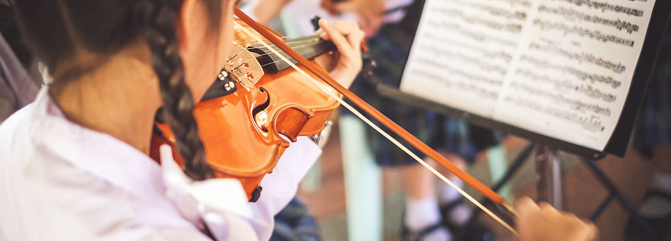 Play the violin