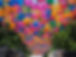 Balloons Hanging in the Street