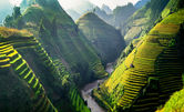 Breathtaking rice terraces in Vietnam