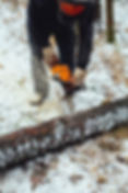 Lumberjack Cutting Wood