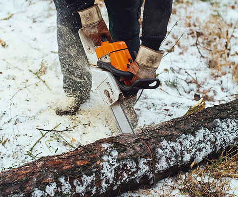 Lumberjack Cutting Wood