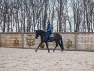 Female Equestrian