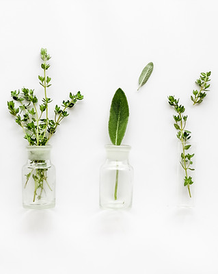 Kräuter im Wasserglas (Rosmarin, Thymian, Oregano)