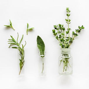 Herbs