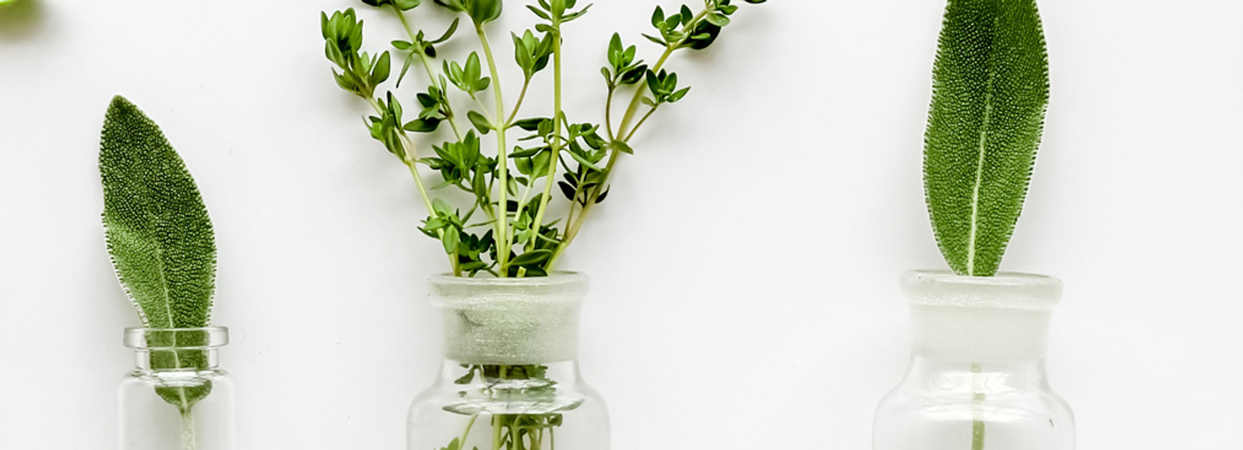 Kräuter in Glasflaschen