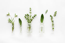 Herbs
