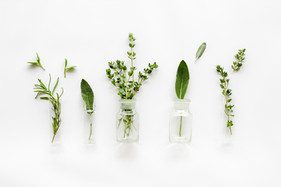 Herbs