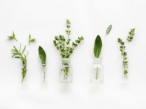 Die eigene Naturapotheke: 5 kritische Fehler beim Anbau von Heilkräutern