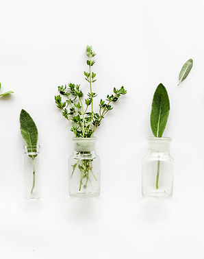 Herbs