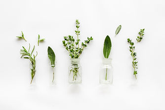 Herbs