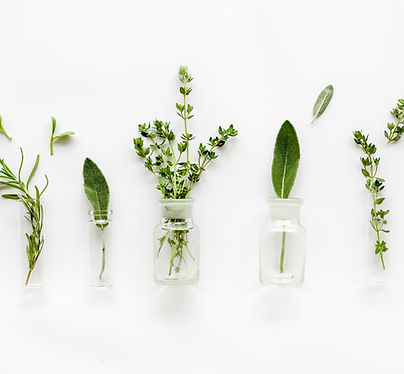 Verschiede Kräuter im Glas für eine Kräuterbehandlung 