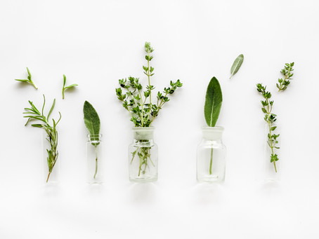 Herbs For Respiratory Health