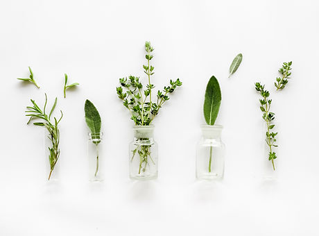 Herbs