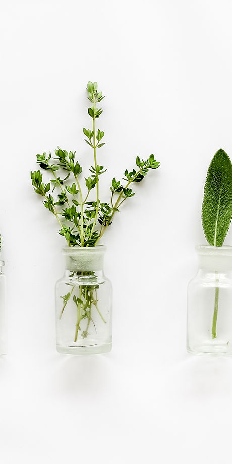 Herbs
