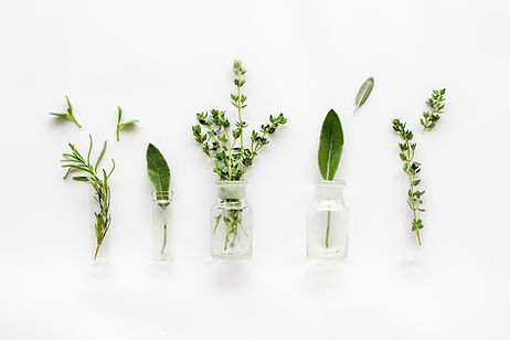Herbs