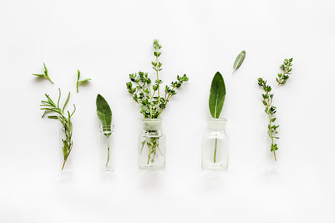 Herbs