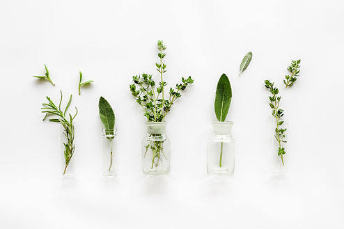 Herbs in Glass Bottles