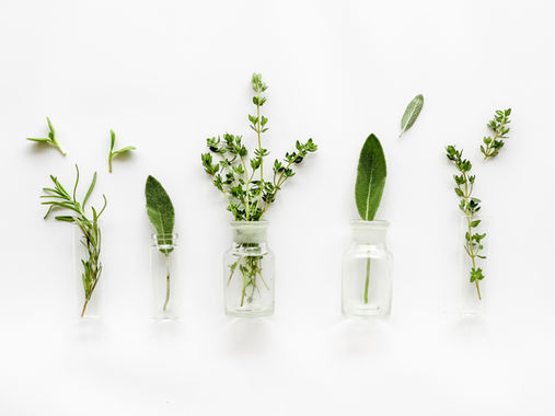Understanding Terpenes: Why They Matter in Cannabis