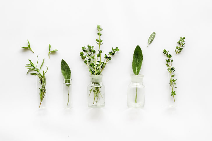 Herbs
