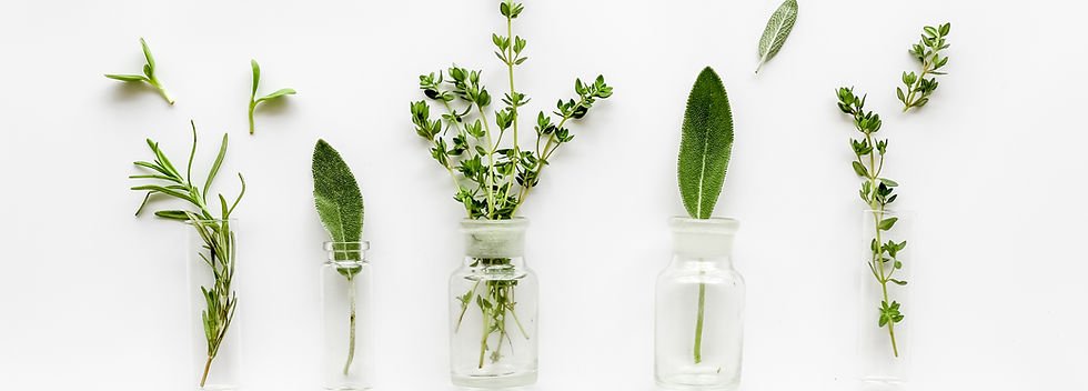 Herbs in Glass Bottles