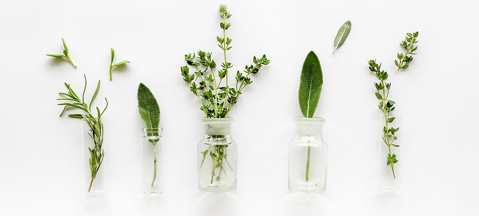 Herbs in Glass Bottles