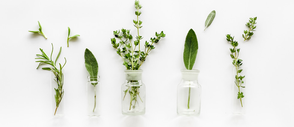 Herbs