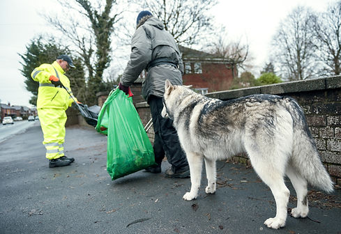 Cleaning Street Litter
