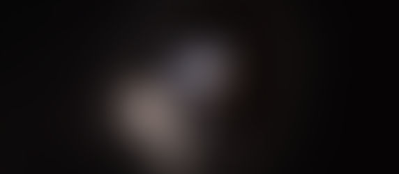 Why you should have a High Protein Diet