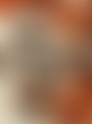 Wir waren dabei: Schachpferdchen EXTRA