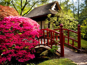 April 2026 CKD Insider Newsletter