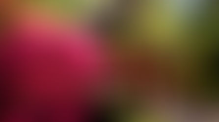 少しの事では動じない強い気持ちを持てるようになりました