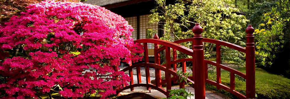 Garden Bridge